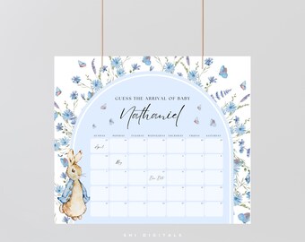 blue peter rabbit guess the baby arrival sign calendar due date sign printable peter rabbit baby shower decor guess the due date sign BPR01