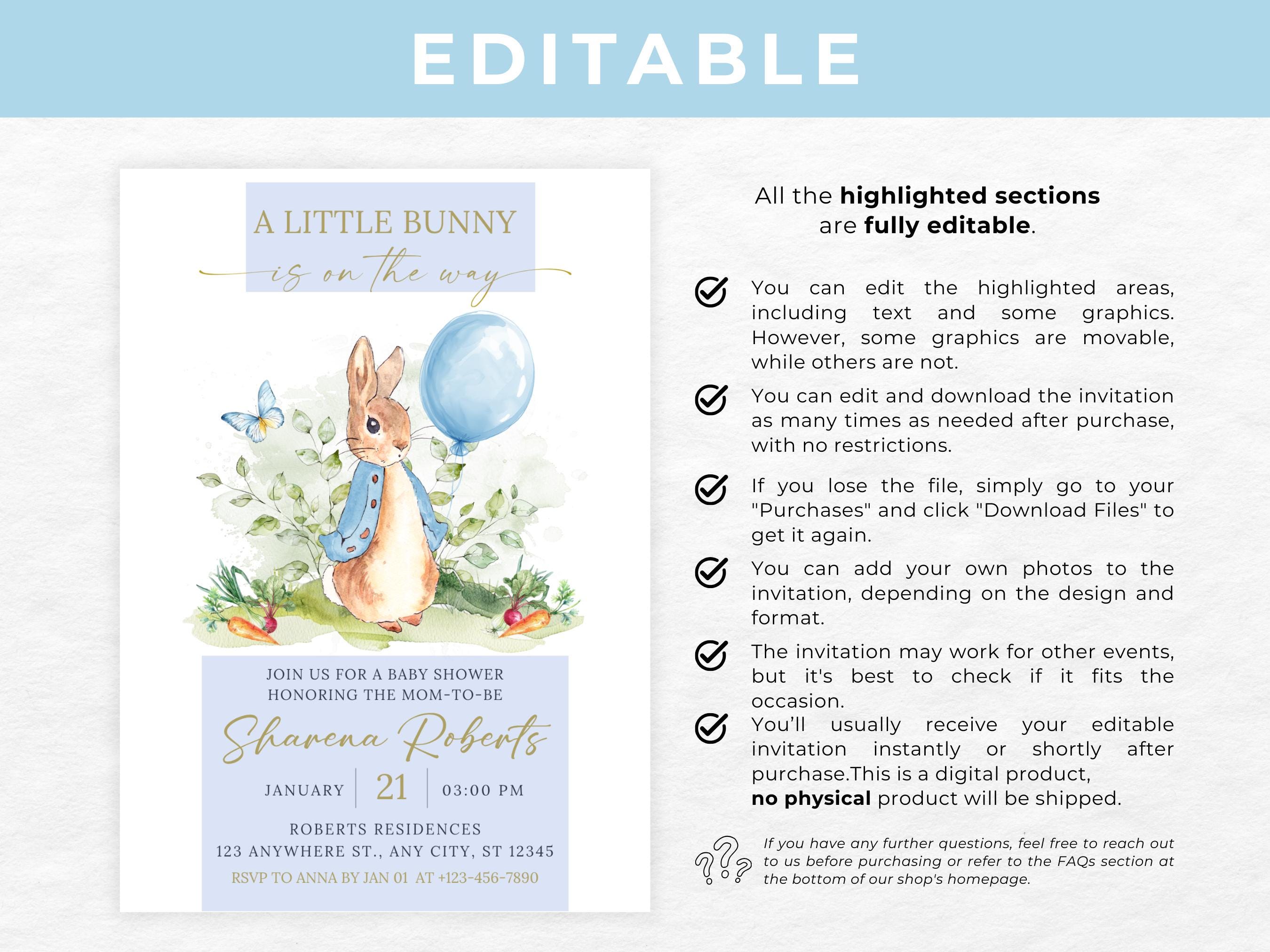 Blue Peter Rabbit Invitation Bundle Diaper Raffle Card Peter Rabbit ...