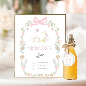 Könnte beinhalten: Ein gerahmtes "Momosa Bar"-Schild mit einem floralen Kranz und Gänse-Illustrationen. Rechts befindet sich eine Flasche Orangensaft mit einem Etikett. Das Schild enthält Anweisungen zum Hinzufügen von Blasen und Saft. Das Thema ist eine Babyparty.