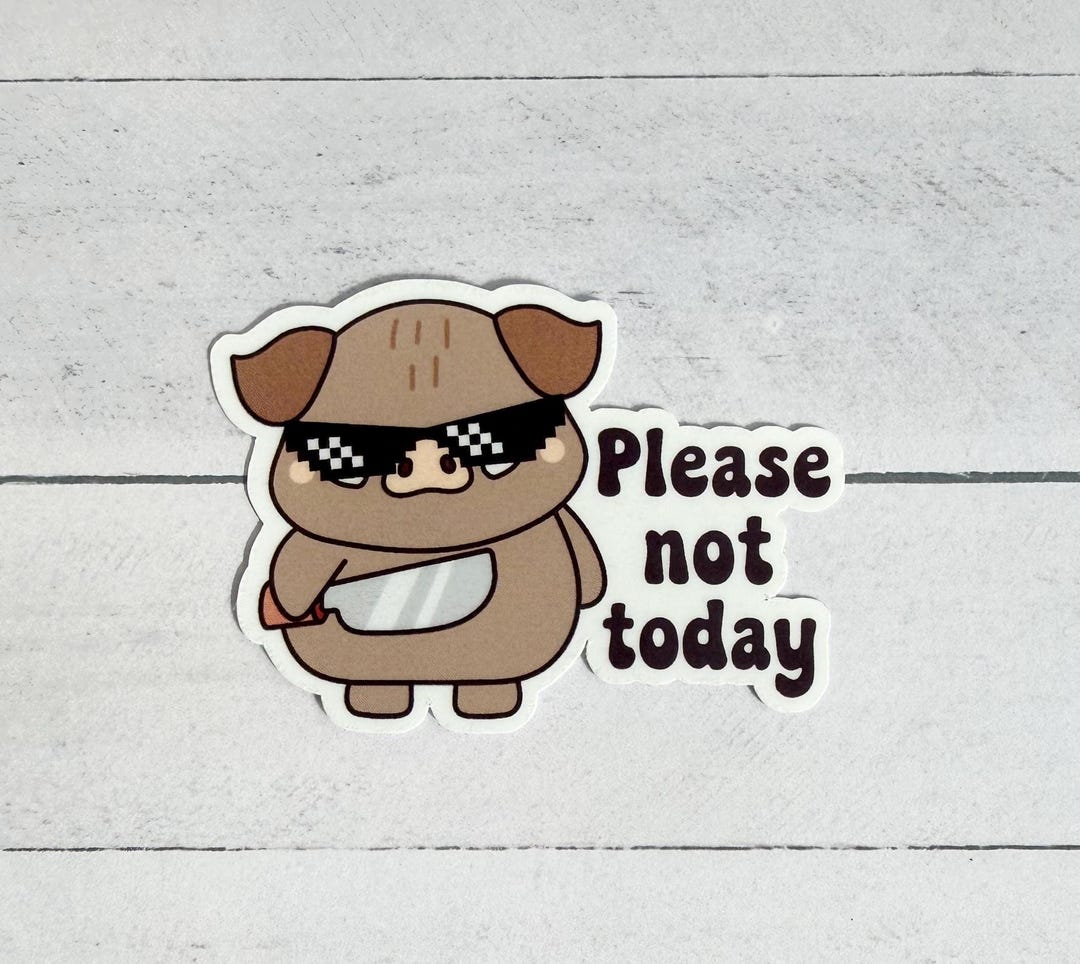 Funny Sticker, Please Not Today Sticker, Waterproof Vinyl Decal - Etsy