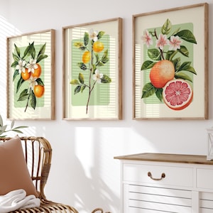 Juego de 3 impresiones botánicas de cítricos, limón, naranja, pomelo, decoración de cocina vintage, arte mural de cítricos en acuarela, descarga digital