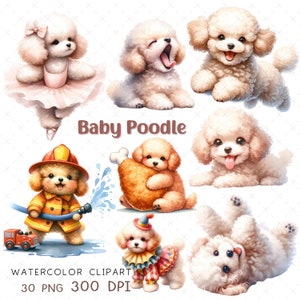 Baby Poodle PNG Pet lover clipart acuarela cachorro sublimación linda tarjeta de perro haciendo arte de pared de vivero encantador Perros archivo de imagen Poodle Clipart