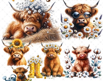 Spring Highland Cow Clipart: Watercolor PNG Images (Digital Download)