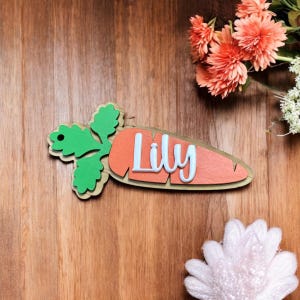 Peut inclure: Une pancarte en bois en forme de carotte avec un dessus vert feuillu et le nom "Lily" &eacute;crit en lettres blanches.