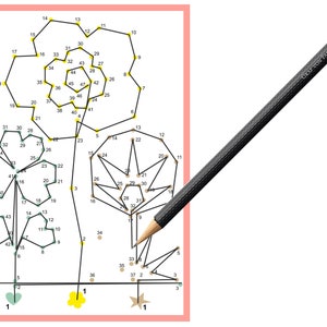 5x Malen-nach-Zahlen-Karte Blumen