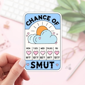 Stickers Chance of Smut / Stickers livresques / Cadeau pour amoureux des livres / Merch livresque / Sticker Kindle / Smut Reader / Amateur de lecture / E-reader