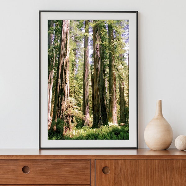 Surrealistic Forest Art, Redwoods National Forest Print, Redwoods National Park, Printable Wall Art, Surreal Trees