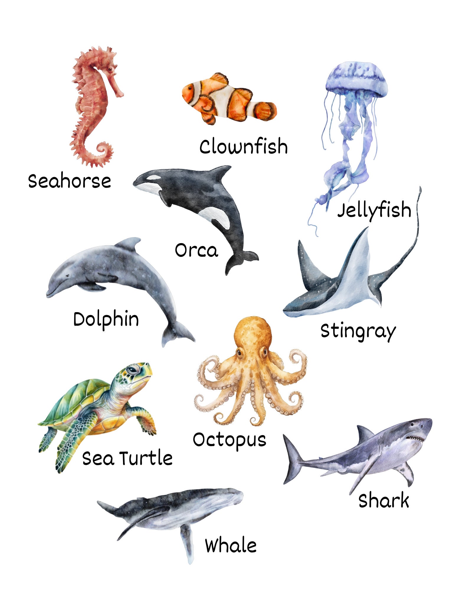 Marine Life Learning Printable Sea Life Learning Printable Ocean Life ...
