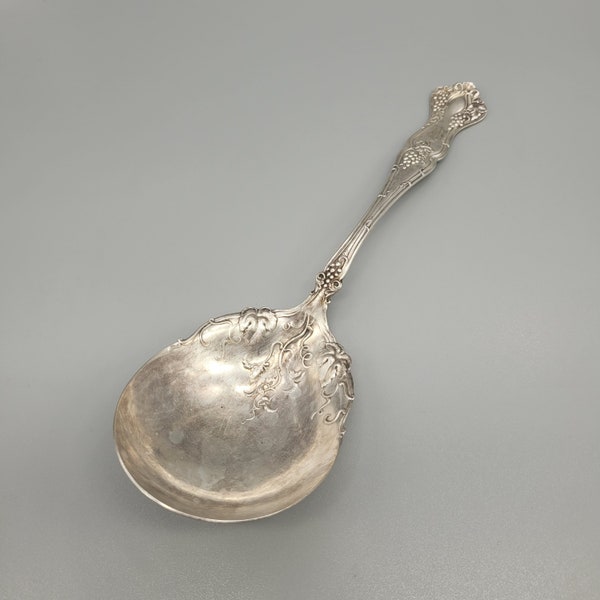 Vintage 1847 Rogers Bros grape silver plate spon XS Triple Antique spoon Collector's Piece