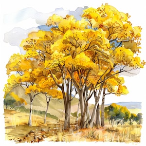 Amarillo Guayacán Árbol Acuarela Clip Art 4 JPG Mix Media Tarjeta Haciendo Invitaciones Collage Junk Journal Digital Paper Craft Bookscrapping 161
