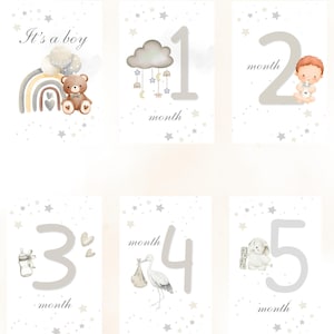 Baby Boy Monthly Milestone Cards, Printable Newborn Photo Props 1-12 Months Digital Download for Baby, Memory Book or Shower Gift