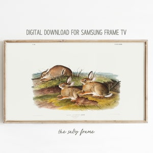Samsung Frame TV Art || Easter Vintage Painting || Rabbit || Art for Frame TV || Digital Download || Digital TV Art || The Salty Frame