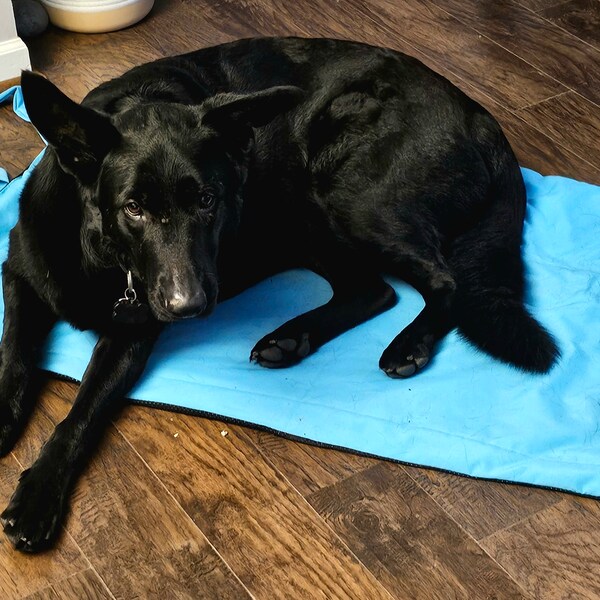 Dog Settle Mat (Prints)