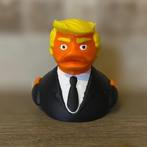 The Don Duck