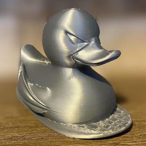 Surfer Duck