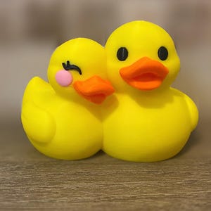 Pato para Casal - Namorado - Namorada - Estatueta Impressa em 3D - Presente para Amantes de Patos - Cruzeiros - Item de Colecionador
