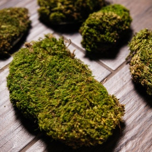 Självhäftande mossvägglappar | Naturgröna väggbeklädnader | Dekorativa reparationsklistermärken för hål och repor