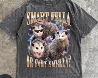 Smart Fella Or Fart Smella Vintage 90s Style Shirt, Retro Possum T Shirt, Weird T Shirt, Meme Tee, Crazy Possum Shirt, Party Joke Tees R873