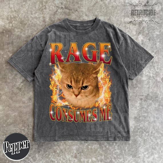Funny Cat Meme Tee, Rage Consumes Me Cat Shirt, Y2K Cat Vintage Shirt, Angry Cat Graphic, Sarcastic Kitten Tee, Ironic Silly Cat TShirt R260