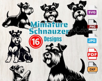 Sagome di cani Schnauzer in miniatura SVG PNG, Peeking Dog PNG, Sorriso, Cane SVG PNG Dxf, Cucciolo, Taglio incisione laser, clip art cane, tShirt, Wall Art