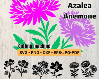 Flowers SVG,Floral,Flower clipart,Flower Vector for cricut Cameo,Laser Engraving,Spring Summer,Aster,Azalea,Anemone,Vector Silhouette,Bundle