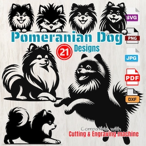 Pommern Hund Silhouetten svg, Hunderassen, Pommern spähen Pfoten niedlich Haustier-Liebhaber-Geschenk, klare Linie Vektor transparent, Laser-Gravur-Cricut