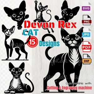 Devon Rex Cat Vector SVG Silhouettes, Peeking Cat SVG PNG Dxf, Corte Cricut, Gravação a laser, clip art, Camisa svg, Arte de parede, Impressão sob demanda