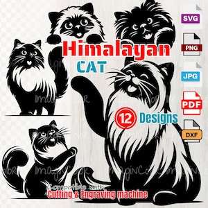 Himalayan Cat Vector SVG Sylwetki, Podglądający Kot SVG PNG Dxf, Cięcie Cricut, Grawerowanie laserowe, clipart, Koszulka SVG, Sztuka ścienna, Druk na żądanie