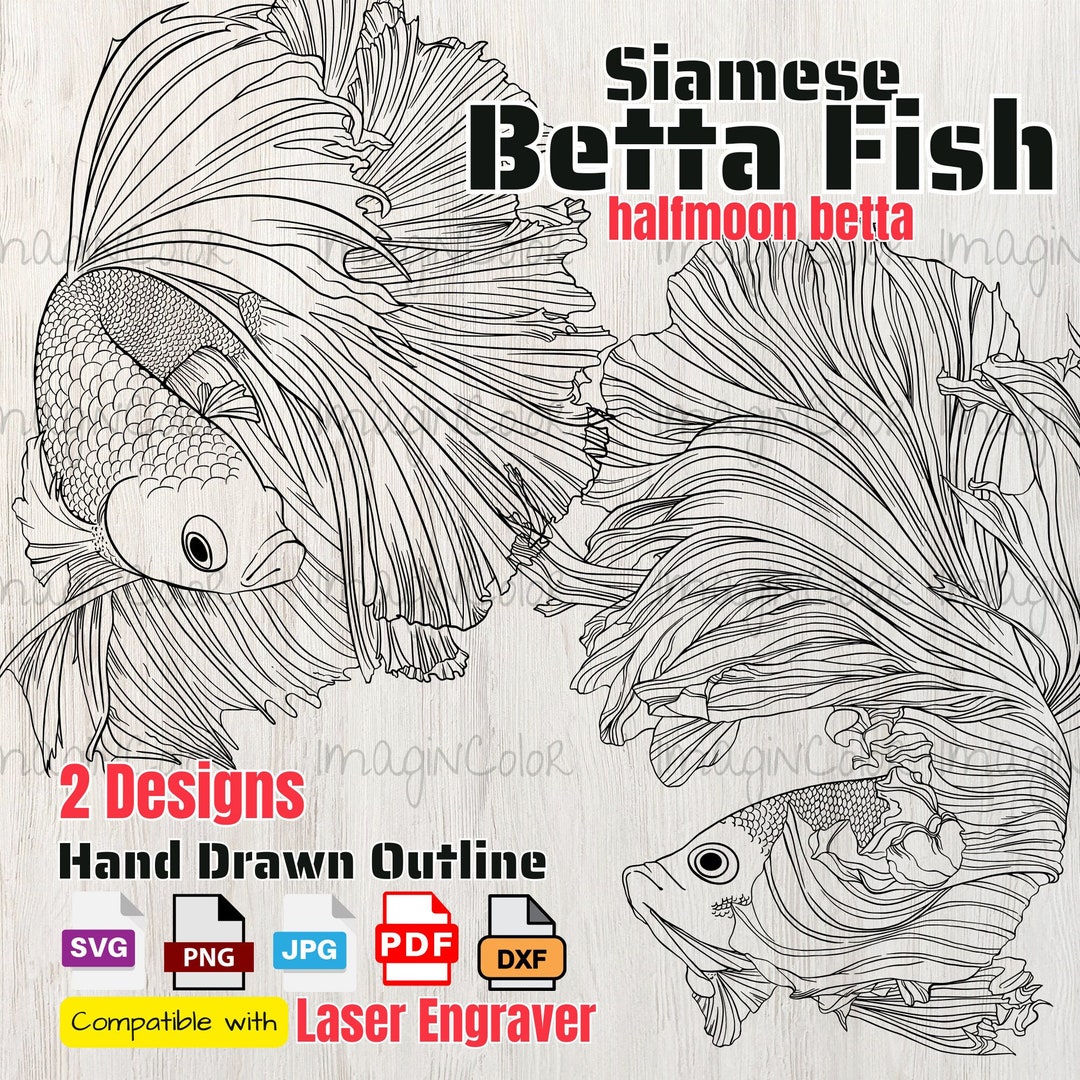 Fish SVG, Betta Fish Svg, Siamese Fighting Fis,aquarium,laser Engraver