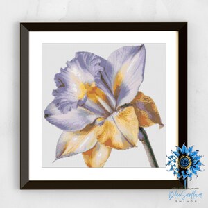 May include: A framed cross-stitch of a daffodil flower. The flower has lavender and yellow petals and a green stem. The artwork is in a black frame and is displayed on a white wall. The text "Blue Sunflower Things" is visible.