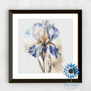 May include: Framed watercolor print of a blue and white iris flower. The artwork features a detailed depiction of the flower with soft brushstrokes and a watercolor effect. The frame is black, and the artwork is displayed on a white background.