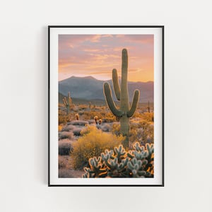 Southwestern Golden Hour: Saguaro Cactus Amidst Blooming Desert