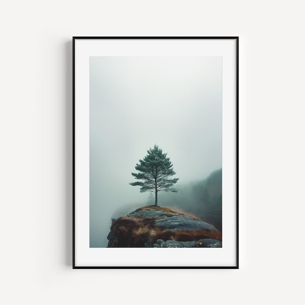 Solitary Pine Tree in Misty Landscape | Minimalist Nature Photography Wall Art Print | Serene Moody Home Decor