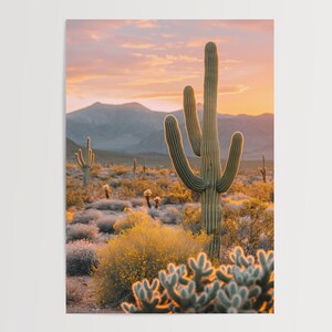 Southwestern Golden Hour: Saguaro Cactus Amidst Blooming Desert