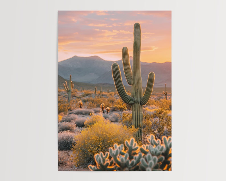 Southwestern Golden Hour: Saguaro Cactus Amidst Blooming Desert