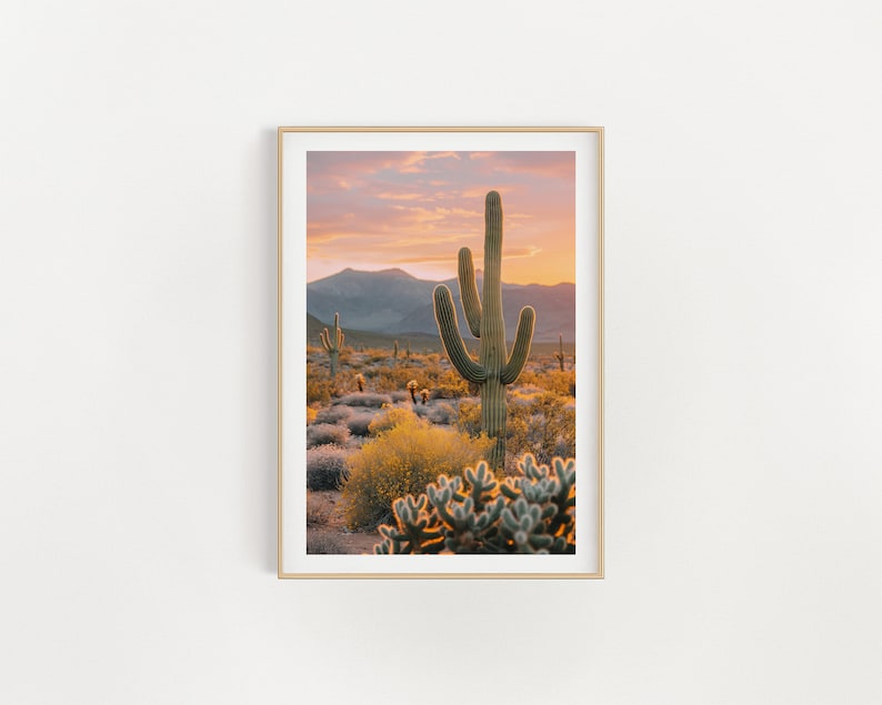 Southwestern Golden Hour: Saguaro Cactus Desert Wall A