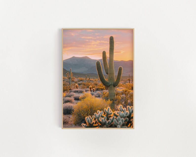 Southwestern Golden Hour: Saguaro Cactus Amidst Blooming Desert