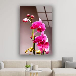 Tempered Glass Orchid Wall Art: Modern Flower Decor