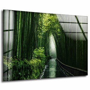 Op de afbeelding: Een rechthoekig wandpaneel met een glanzende afwerking en een hoge resolutie foto van een dicht bamboebos. De afbeelding toont hoge groene bamboestengels langs een smal, nat pad met bemoste taluds en zacht licht.
