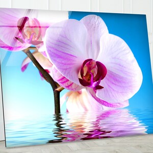 Orchid Tempered Glass Wall Art: Modern Floral Print