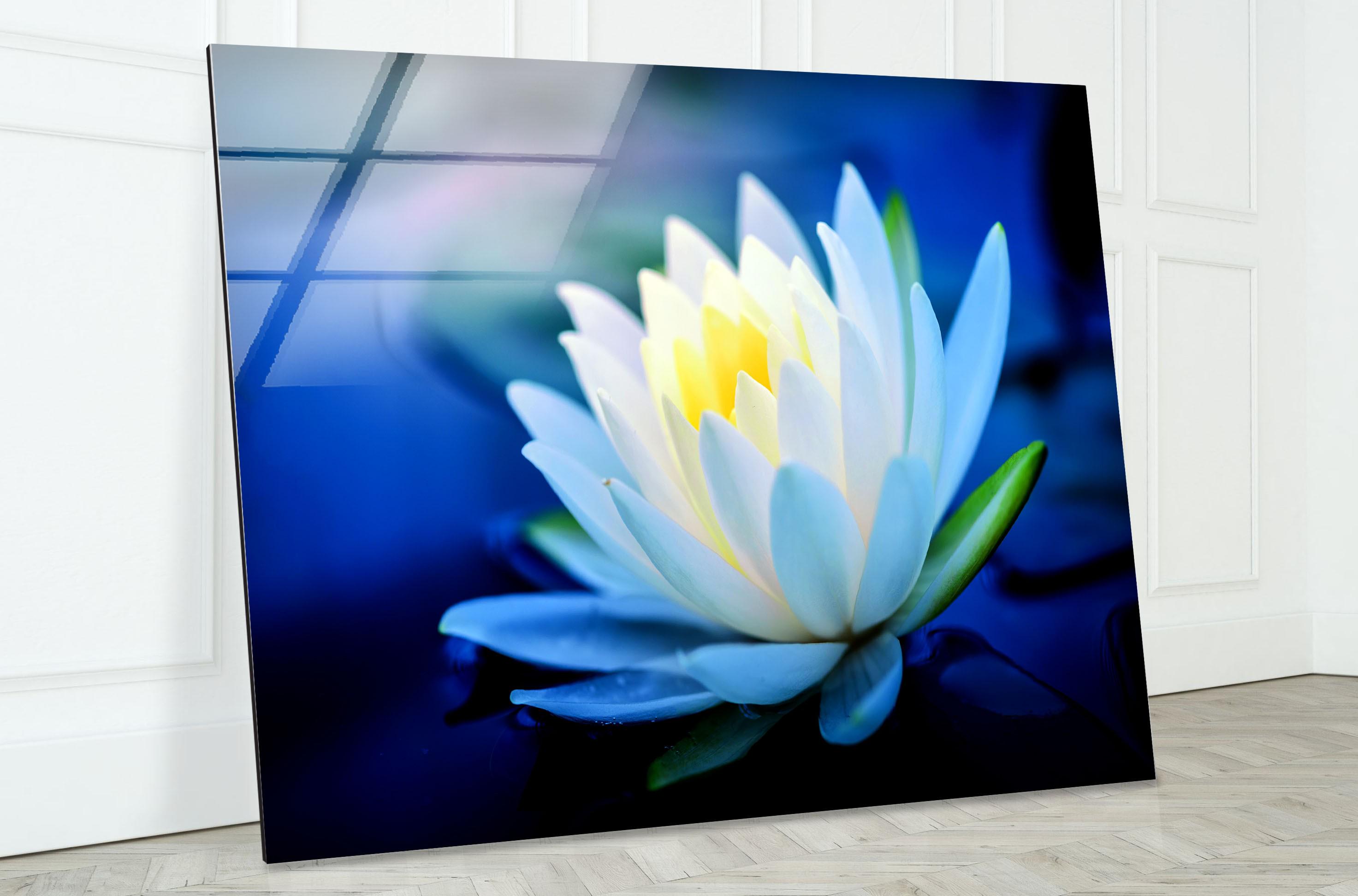 Lotus Flower Tempered Glass Wall Art: Modern Floral Print - Etsy