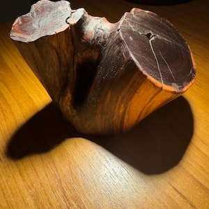 Könnte beinhalten: Ein rohes, unregelmäßig geformtes Stück Holz in Dunkelbraun und Rötlich-Orange mit einer glatten, polierten Oberfläche. Das Objekt weist zwei markante, flach geschnittene kreisförmige Enden mit natürlicher Maserung und einen tiefen Spalt auf.