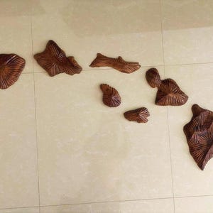 Hawaii-Inseln schönen vollen Satz, aufwendig geschnitzt, in Hawaii mit Hawaiian Koa, alle acht Inseln in der Kette gemacht.