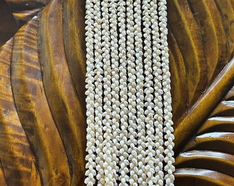 Niihau shell lei jewelry, 5-strand 50” wedding lei, white white Momi Pikake Lei, Hawaii seashells, Hawaii shells, Wedding jewelry.