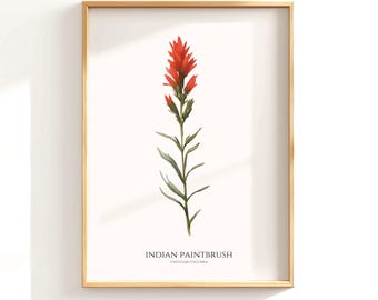 Indian Paintbrush Poster, Red Indian Paintbrush Pressed Flowers Botanical Poster, Wildflower Art Print, Montana Art, Floral Watercolor Print