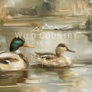 two ducks swimming in a body of water, with a mountainous landscape in the background.