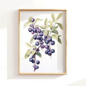 Watercolor Huckleberry Branch Poster Print, Huckleberry Print, Montana Print, Cabin Decor, Huckleberry Art, Huckleberry Lover, Botanical Art