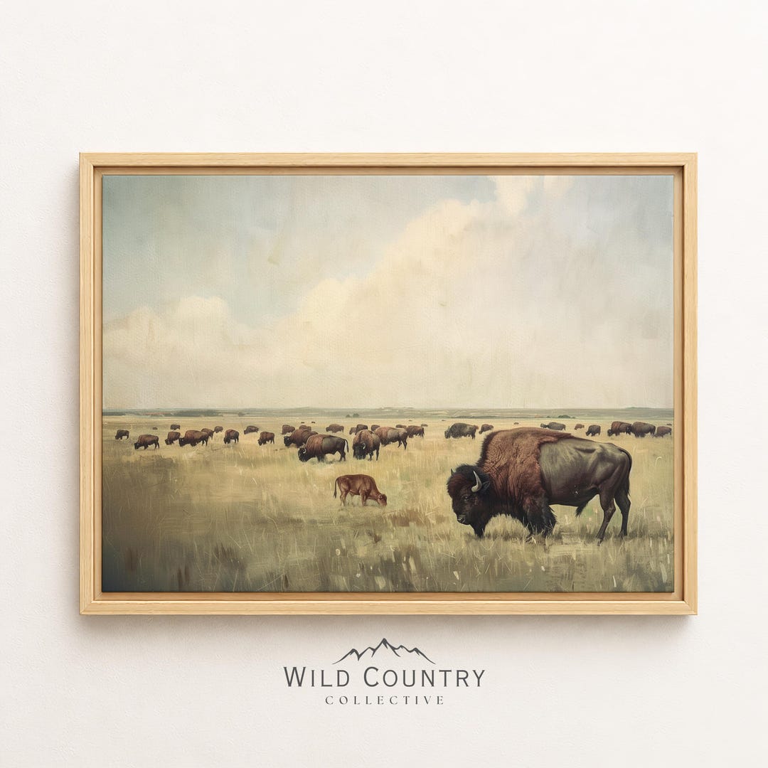 Framed Bison Herd Prairie Canvas Wall Art American Buffalo Landscape ...