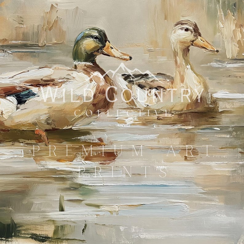 two ducks swimming in a body of water, with a text overlay that reads "WILD COUNTRY COLLECTIVE PROFESSIONAL ART PRINTS".