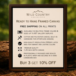 The image is an advertisement for Wild Country Collective's framed canvas products. It features a list of features and benefits for the products, including free shipping on all prints, availability in multiple frame colors and sizes, cotton and polyester canvas, built-in hardware, high-quality resolution, latex inks, 1.25-inch depth canvas, professionally packaged, and secured in a hard cardboard box. The advertisement also offers a buy-three-get-ten-per-cent discount.